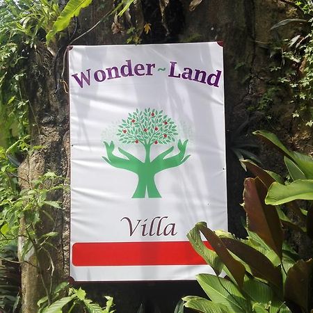 Wonder-Land Villa อูบุด ภายนอก รูปภาพ